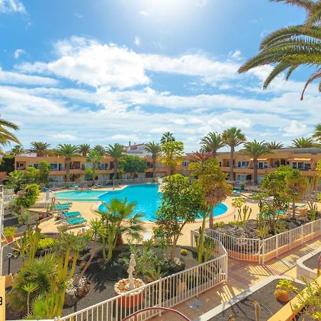 コラレホHola Bent Pool And Terrace Irent Fuerteventuraアパートメント エクステリア 写真