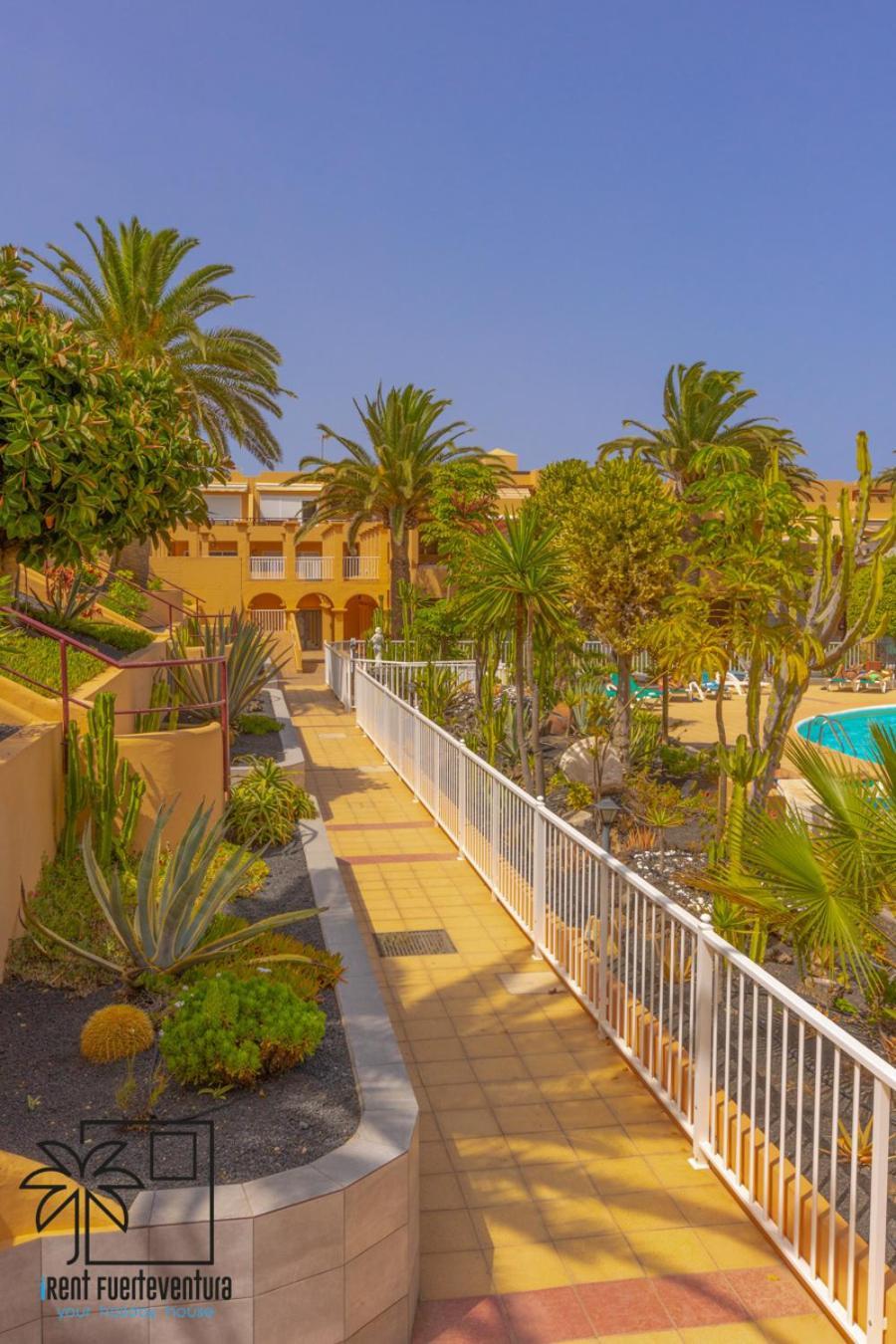 コラレホHola Bent Pool And Terrace Irent Fuerteventuraアパートメント エクステリア 写真