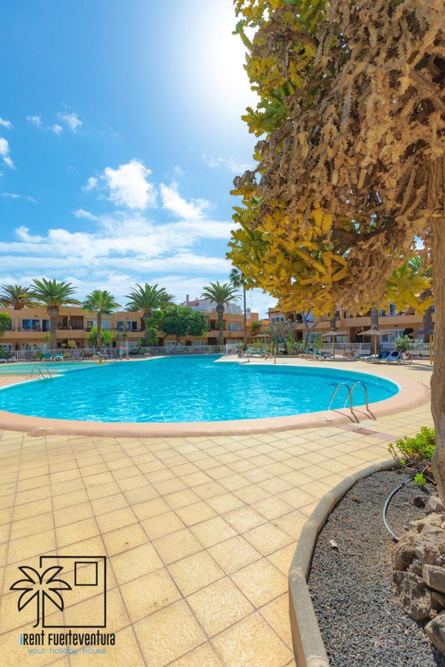 コラレホHola Bent Pool And Terrace Irent Fuerteventuraアパートメント エクステリア 写真