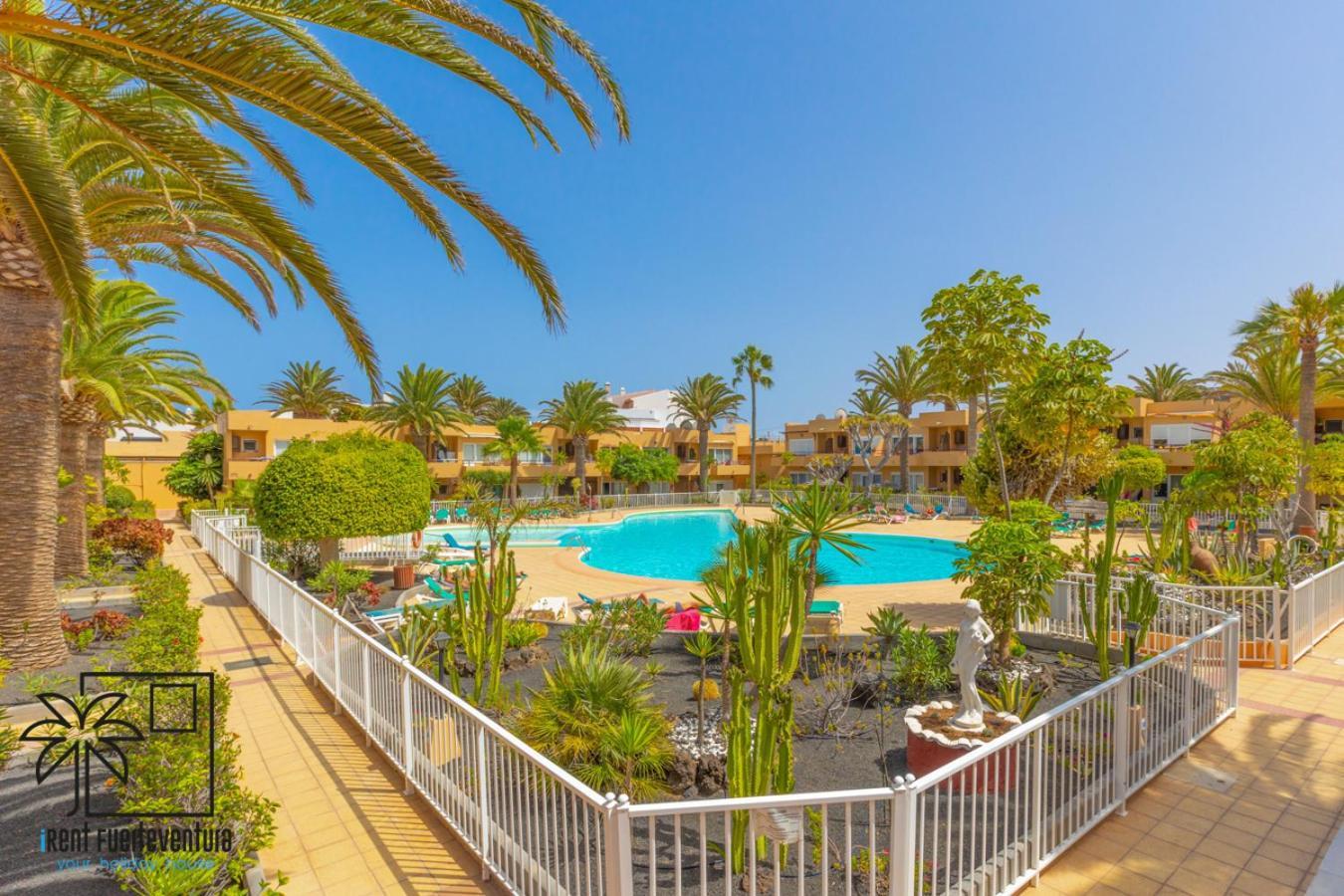 コラレホHola Bent Pool And Terrace Irent Fuerteventuraアパートメント エクステリア 写真