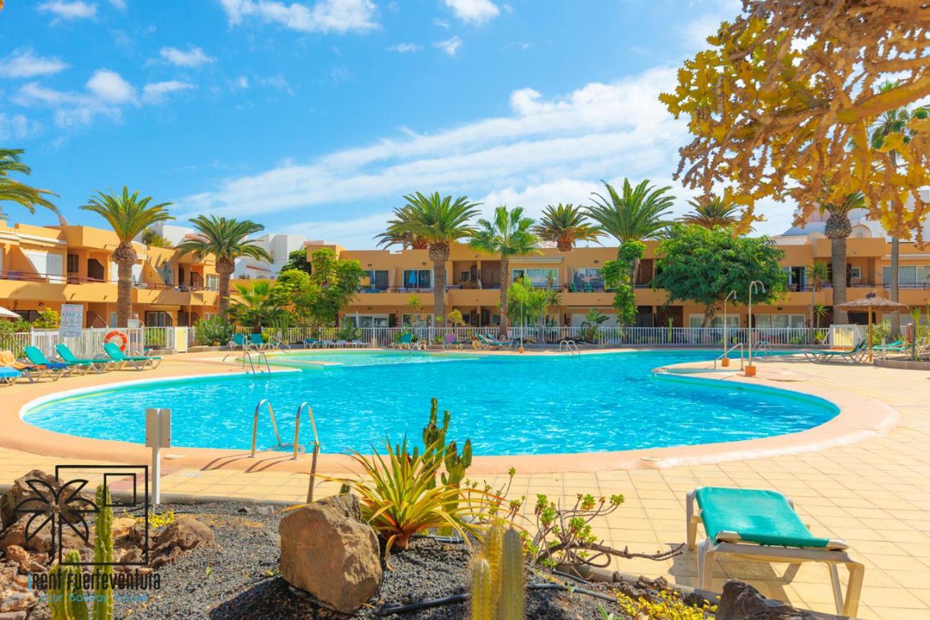 コラレホHola Bent Pool And Terrace Irent Fuerteventuraアパートメント エクステリア 写真