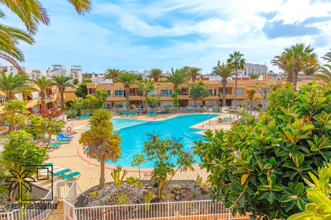 コラレホHola Bent Pool And Terrace Irent Fuerteventuraアパートメント エクステリア 写真
